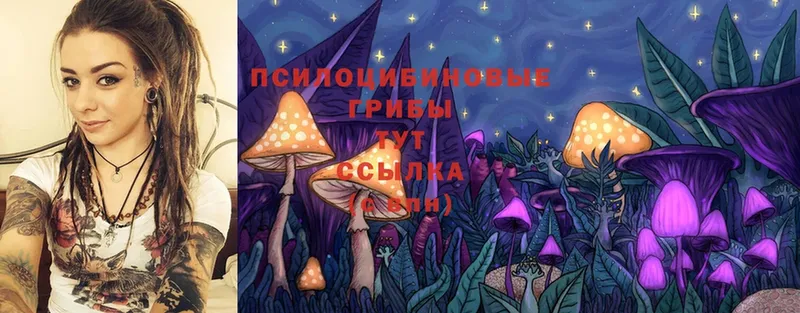 МЕГА сайт  даркнет сайт  Улан-Удэ  Галлюциногенные грибы Cubensis 